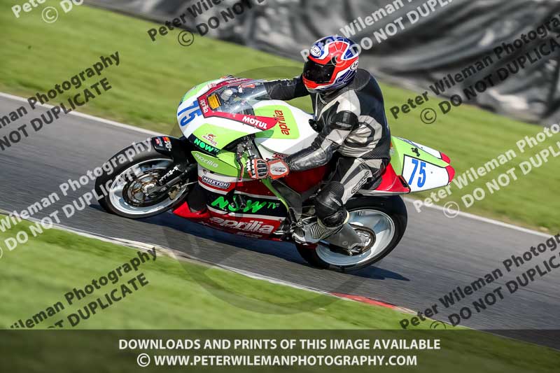 brands hatch photographs;brands no limits trackday;cadwell trackday photographs;enduro digital images;event digital images;eventdigitalimages;no limits trackdays;peter wileman photography;racing digital images;trackday digital images;trackday photos